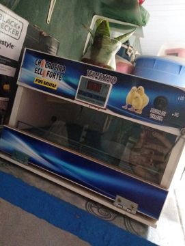 Chocadeira automática de 30 ovos 