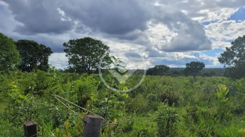 ÁREA DE 3.500 HECTARES EM RIBAS DO RIO PARDO codigo: 109099