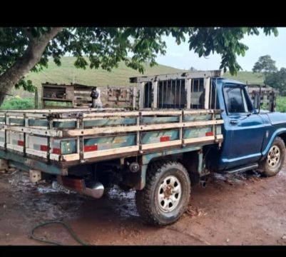 Vendo camionete D10