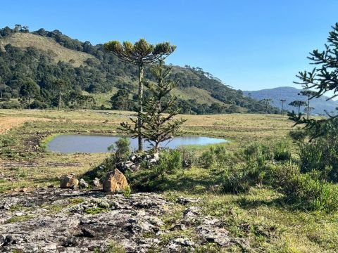 2 HECTARES EM URUBICI TERRENO RURAL COM INFRAESTRUTURA