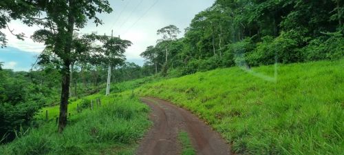 COD283- FAZENDA 718Hectares CORUMBÁ/MS