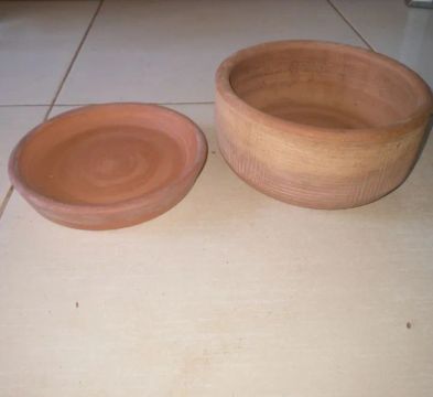 Doação desse vaso para plantas suculentas 