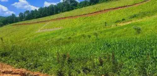 Lotes de 500m² em Cotia  Condomínio Fechado com Lago de Pesca