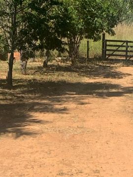 Vendo Chácara em Taboquinha-Padre Bernardo/GO