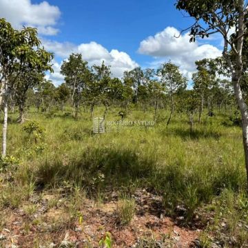 Oportunidade Fazenda à venda no Cerrado do MATOPIBA/Tocantins 3400 hectares