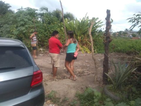 Terreno 8x20