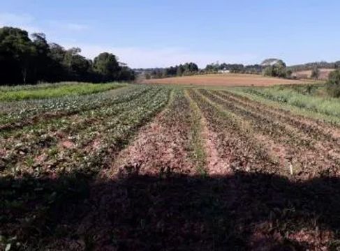 Lotes de 500m² em Cotia  Condomínio Fechado com Tranquilidade e Conforto
