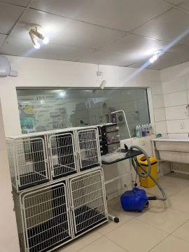 Clinica/Pet Shop