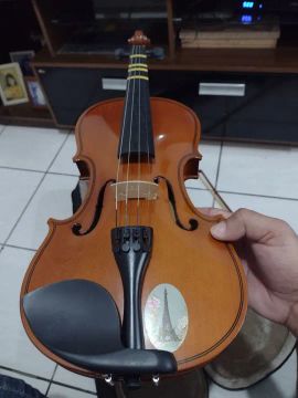 Violino com estojo Parrot