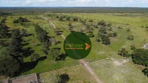 Fazenda à venda, por R$ 12.000.000 - Zona Rural - Cristalândia/TO