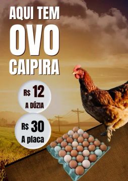 Ovos Caipira Frescos 