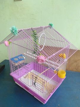 Gaiola para pássaros lilás 
