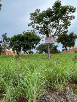 02 Lotes Juntos (720 m2) em Luzimangues - Palmas
