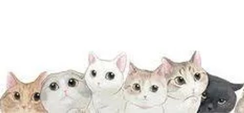 Doa-se 4 gatos Filhotes