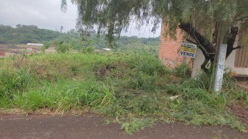 Lote de terras para venda 
