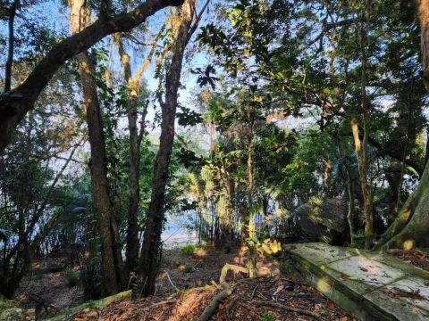 Excelente oportunidade de área com 5322m² na Pedra Redonda, em frente a AABB, clubes da Co