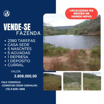 FAZENDA NA REGIÃO DE MUNDO NOVO