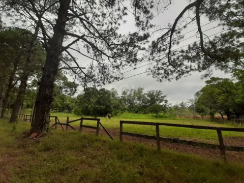 Ótimo sítio de 12hectares, plano, de esquina, com 300metros de frente e 500m na rua latera