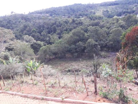 Terreno com vista para a natureza