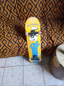 Skate Completo - Ótimo estado