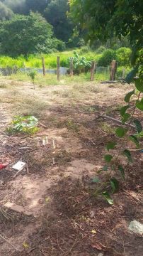 Terreno 