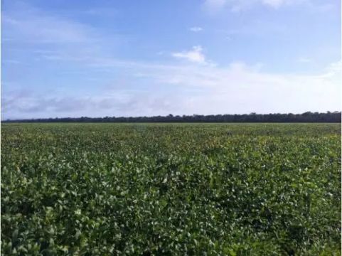 propriedade de porteira fechada na região de Nova Ubiratan no estado do Mato Gro