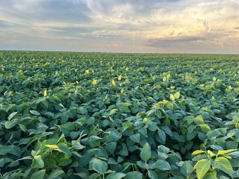 Excelente fazenda a venda com dupla aptidão em uma privilegiada localização na área rural 