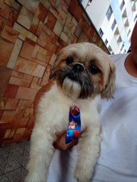 Zeus procura namorada 