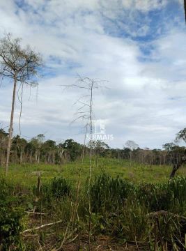 Fazenda Situada no município de Bujari Acre. R$400.000,00