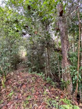Área com 13,78 tarefas em  Água Fria Zona Rural - Mata de São João - BA