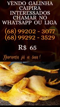 Galinha Caipira - Fresca e Deliciosa!