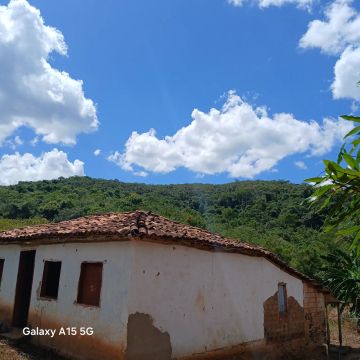 Sítio 47 hectares, excelente lugar para plantação de café, corante ou pastagem 