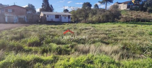 Lote em Rua Belerophonte Albuquerque - Centro - São Francisco de Paula/RS
