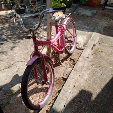 Bicicleta infantil 