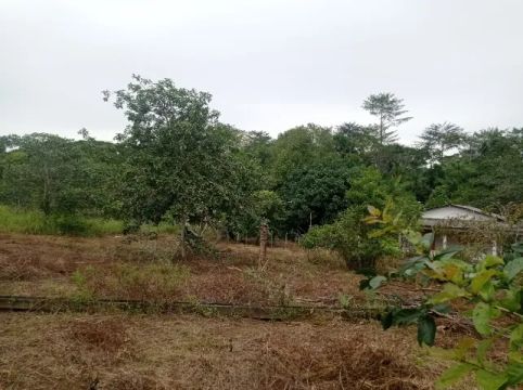 Terreno com casa em alvenaria em Ferreira Gomes/AP
