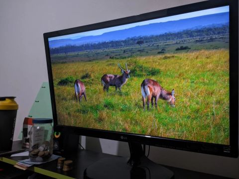 Monitor LG 24 polegadas Full HD 