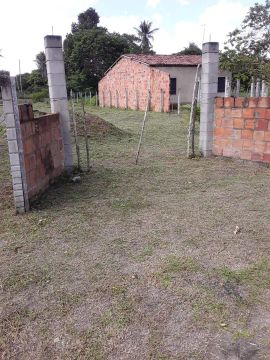 Terreno cercado 