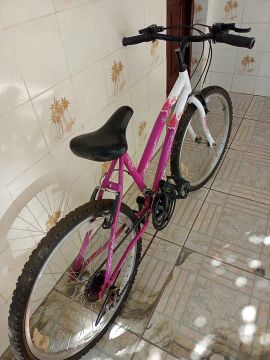 Bicicleta Aro 24