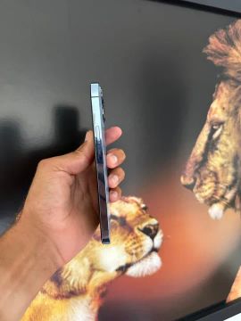 iPhone 13 Pro Max 