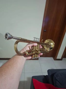 Trompete novo 
