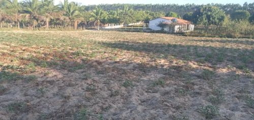 Terreno plano e fértil