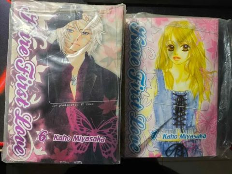 Manga Kare First Love Volumes 01 Ao 10 