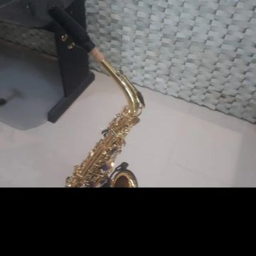 Sax alto Michael Novo na  caixa