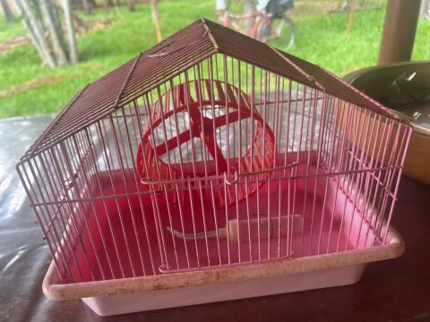 Vendo gaiola hamster 