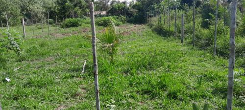 Terreno com área verde em ótima localização