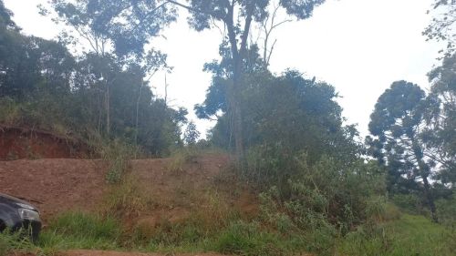Venda Residential / Farm Ranch Congonhas MG