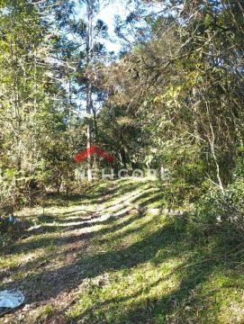 Lote em Est Bracatinga - Contendas - São Francisco de Paula/RS
