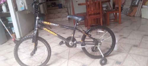 Bicicleta Infantil Aro 20