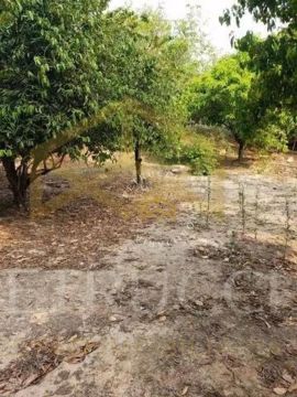 Terreno Residencial à venda, Recreio Campestre Internacional Viracopos II, Indaiatuba - TE