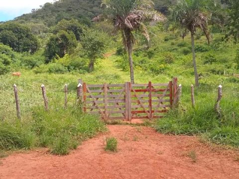Área de 12, 6 hectares a venda em Senhor do Bomfim -Ba.